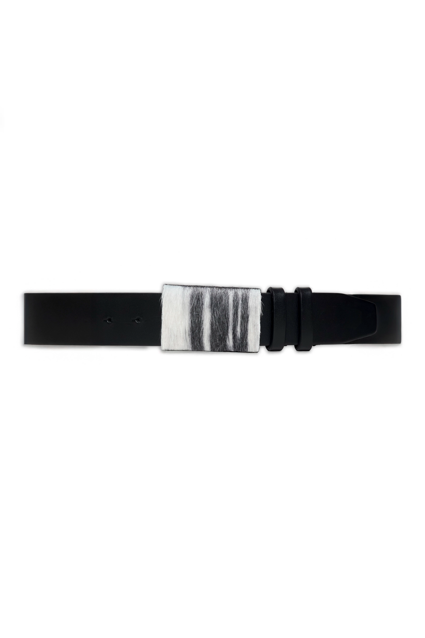 skunks in the wall, belt